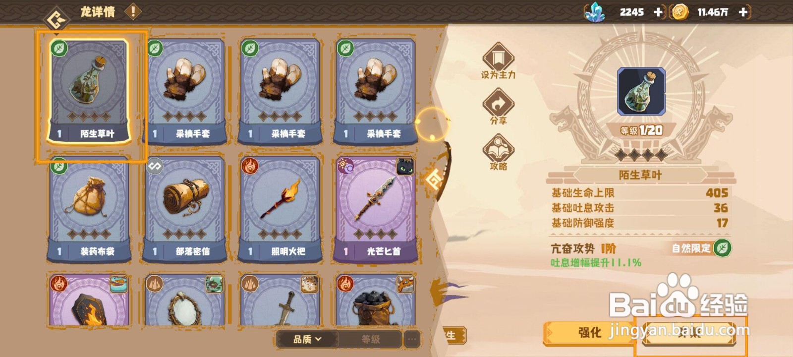 如何为驯龙高手的双头龙穿戴珍宝？