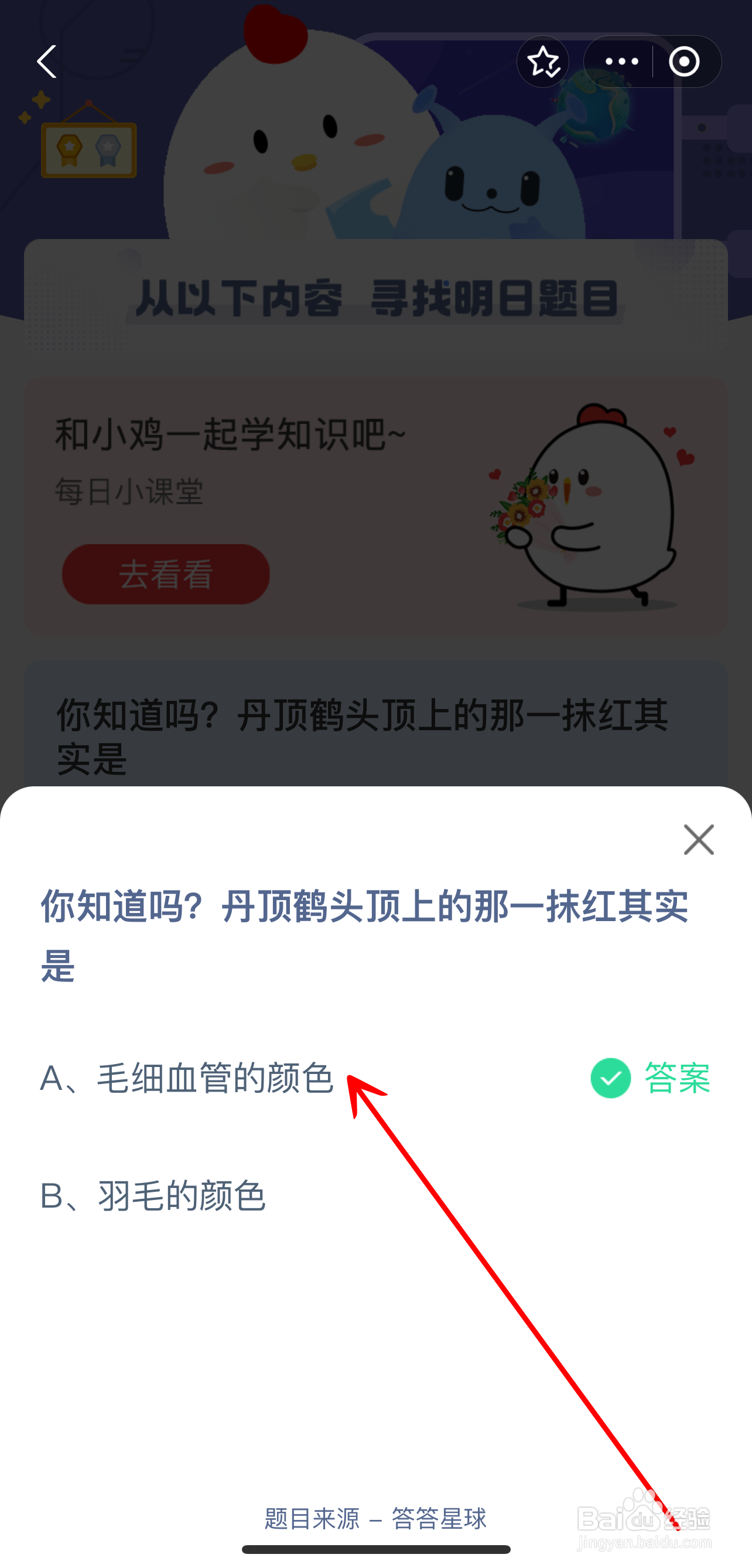 蚂蚁庄园2024.9.11丹顶鹤头顶上的那一抹红是?