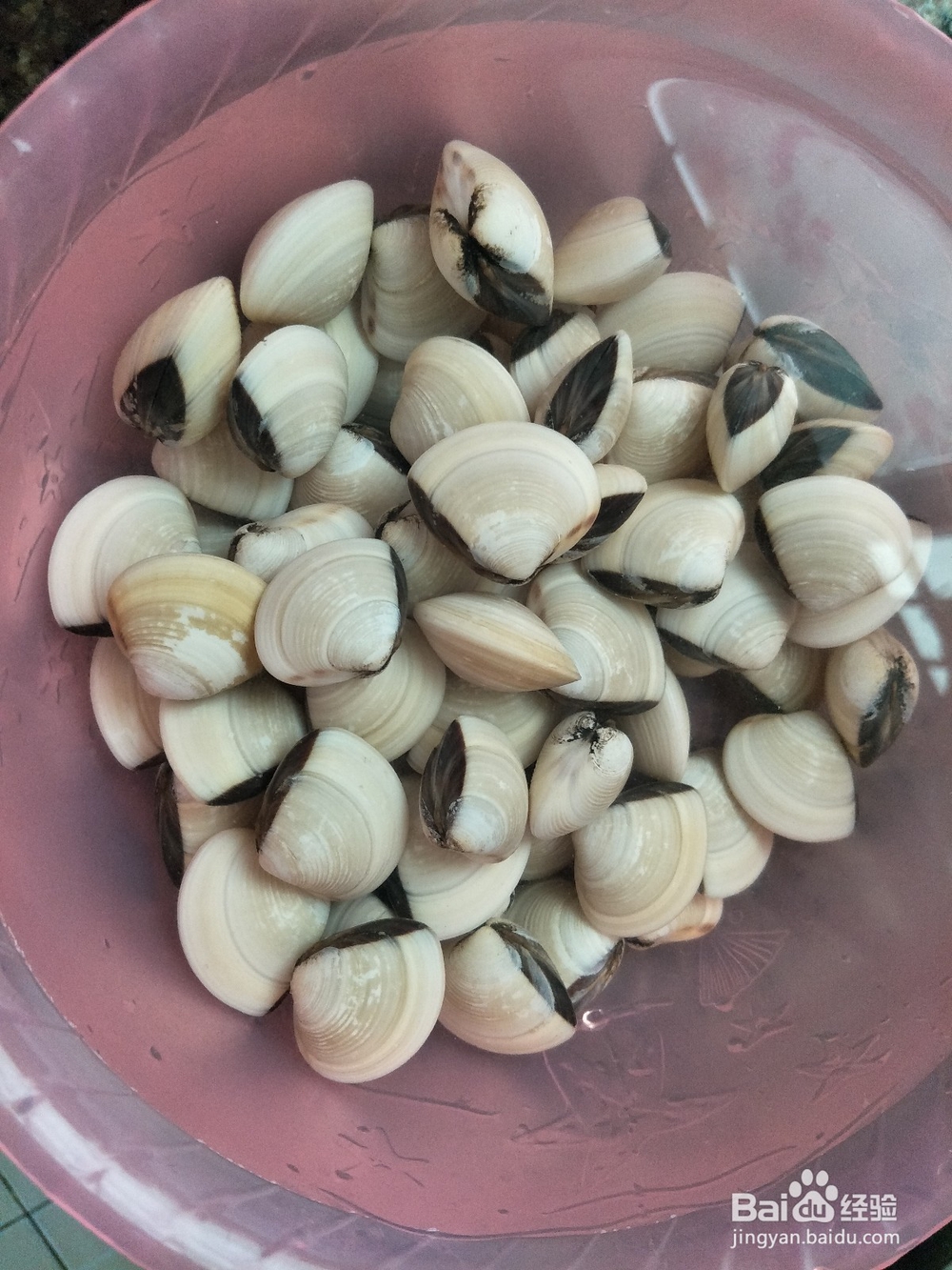 怎样烧出可口白贝壳