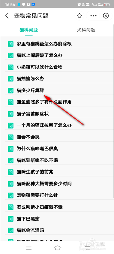 支付宝怎么查看宠物常见问题