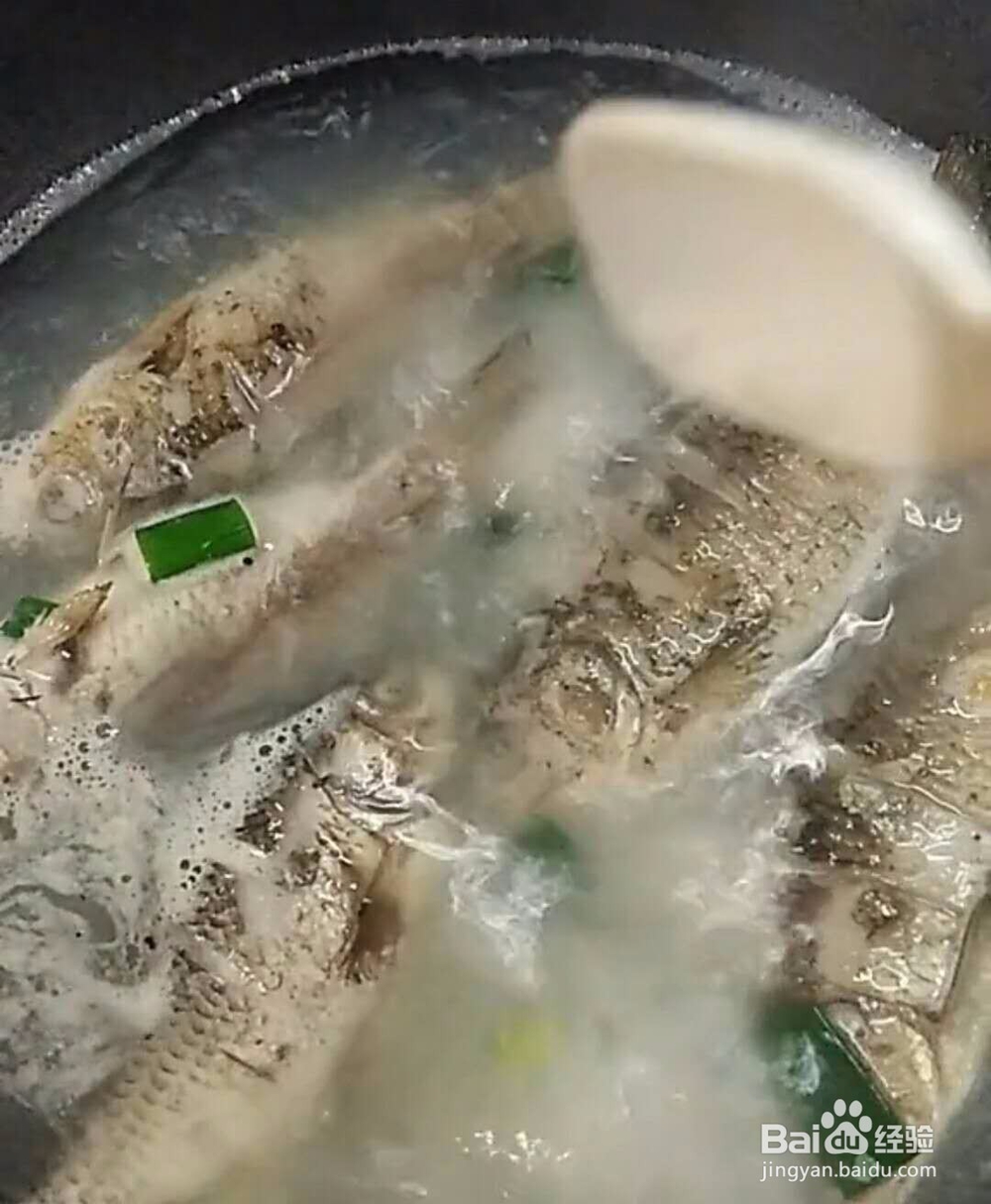 鲫鱼煲汤教程