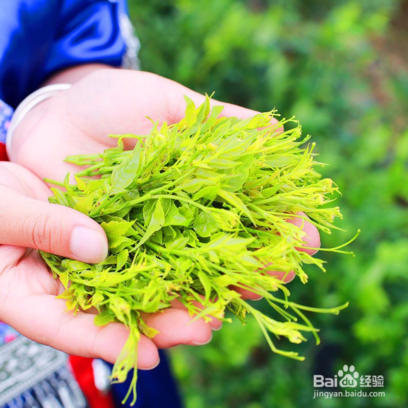 自己组建电商团队的方法