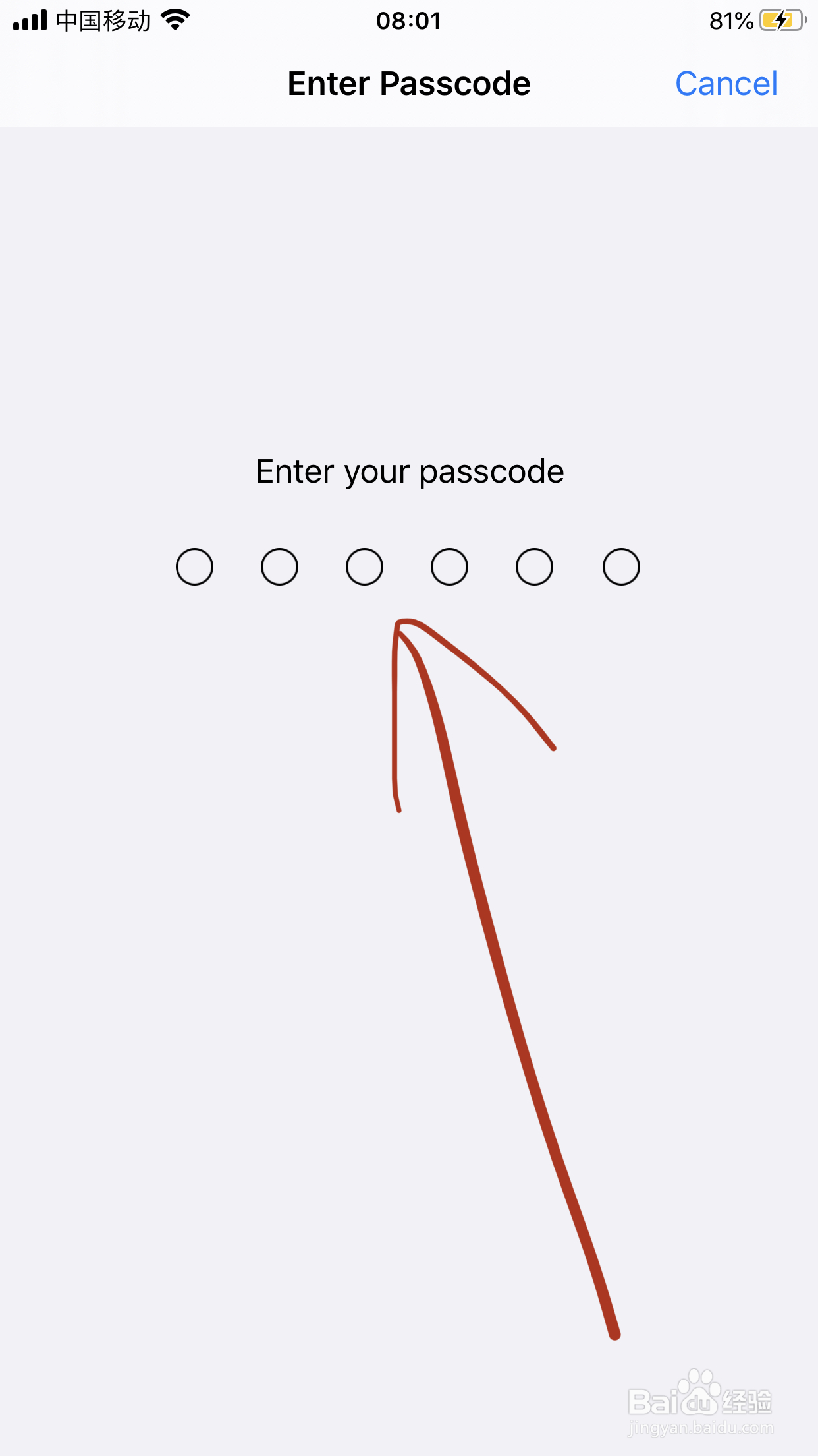 苹果xr如何更新ios14