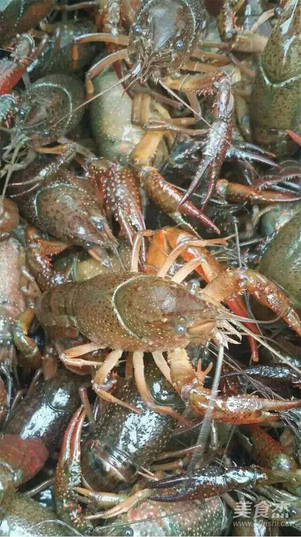 傻瓜式十三香小龙虾