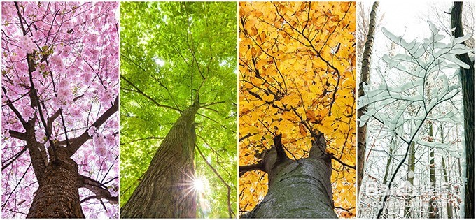 三味猪肠怎么做？