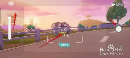 心动小镇红腹灰雀观鸟日志怎样获得