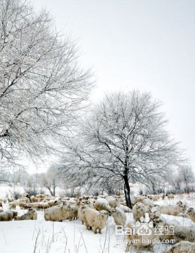 红外额温计如何使用?特点及注意事项是什么?