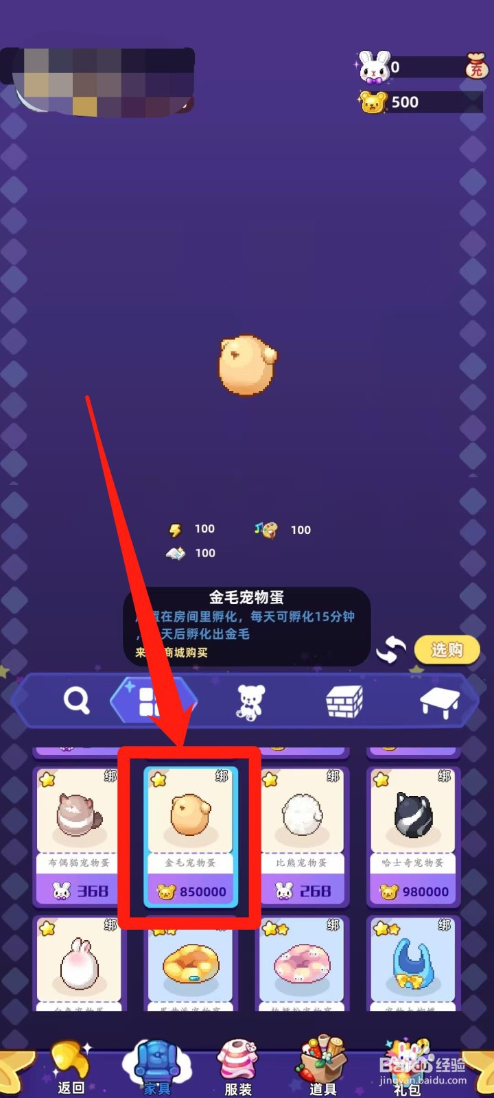 时光镇app的金毛宠物蛋怎样进行选购