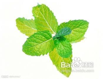 薄荷有哪些美容的方法
