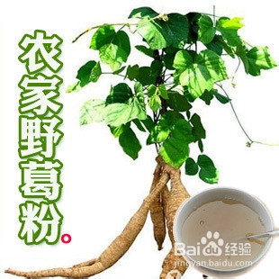 张家界春节旅游攻略