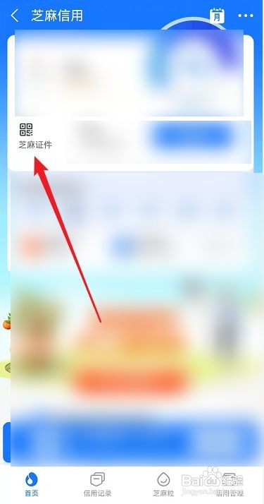 支付宝在哪开启芝麻工作证