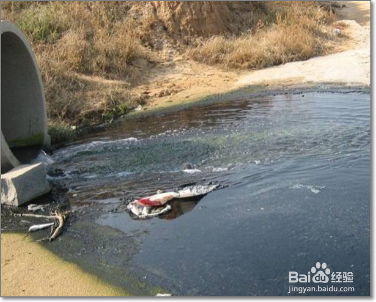 如何合理有效管理厂区环境