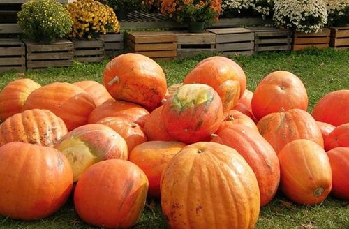 能杀癌细胞的四大食物你知道吗?