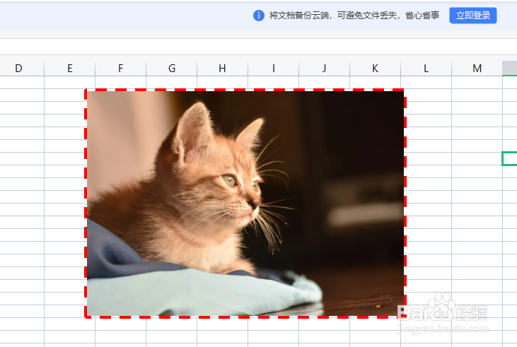 WPS表格中怎么给图片添加虚线边框
