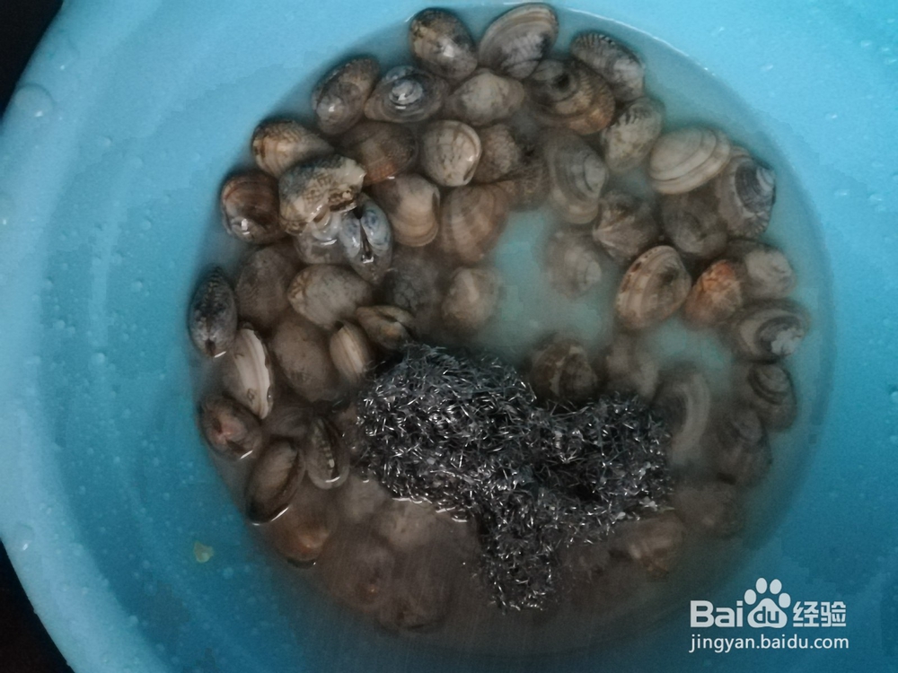 海味之清炒花蛤