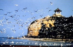 北戴河度假秘籍