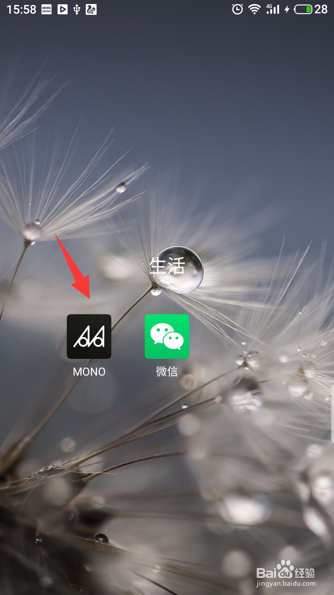 MONO怎么开启系统默认字体