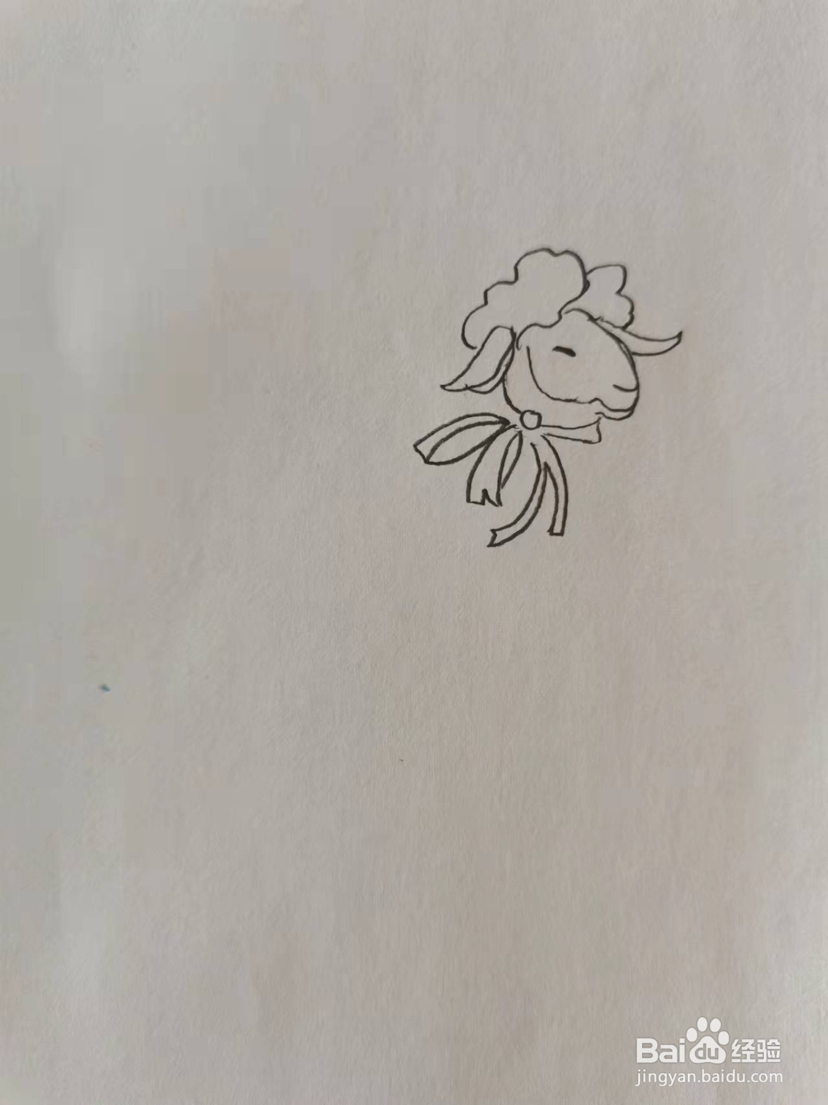 优雅的小绵羊怎么画