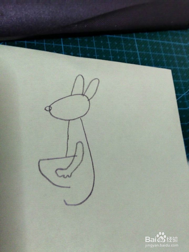 简笔画---袋鼠