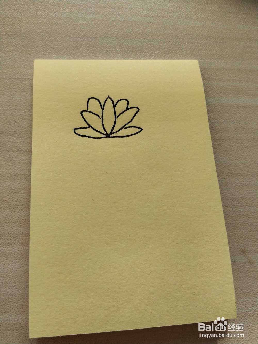 荷花的简笔画怎么画