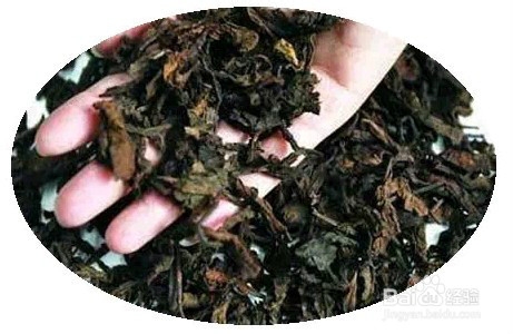 这样的蔬菜有毒,千万别吃