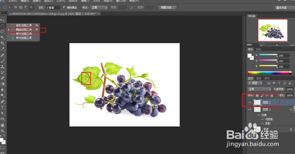 PS如何制作水珠效果