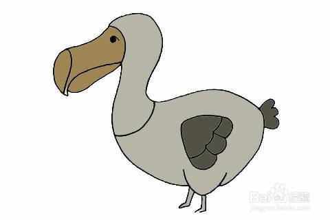渡鸟的简笔画