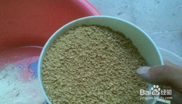 水库钓鲫鱼饵料技巧！水库鱼获18斤！方法很简单