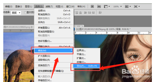 ps羽化工具怎么用?