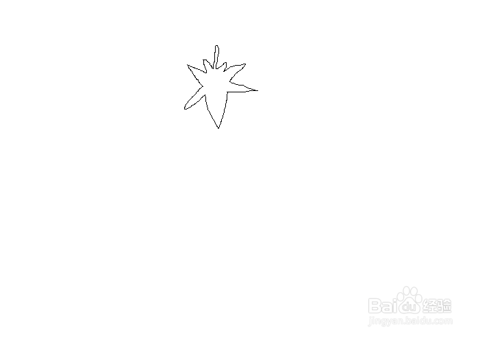 简笔画之枫叶的画法