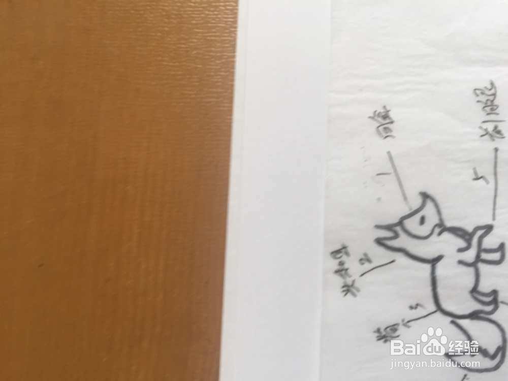 如何画出可爱的小狐狸