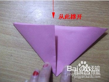 萌哒哒的小青蛙