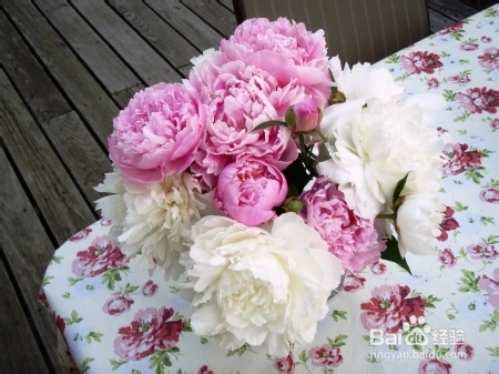 如何向别人表明你爱他们