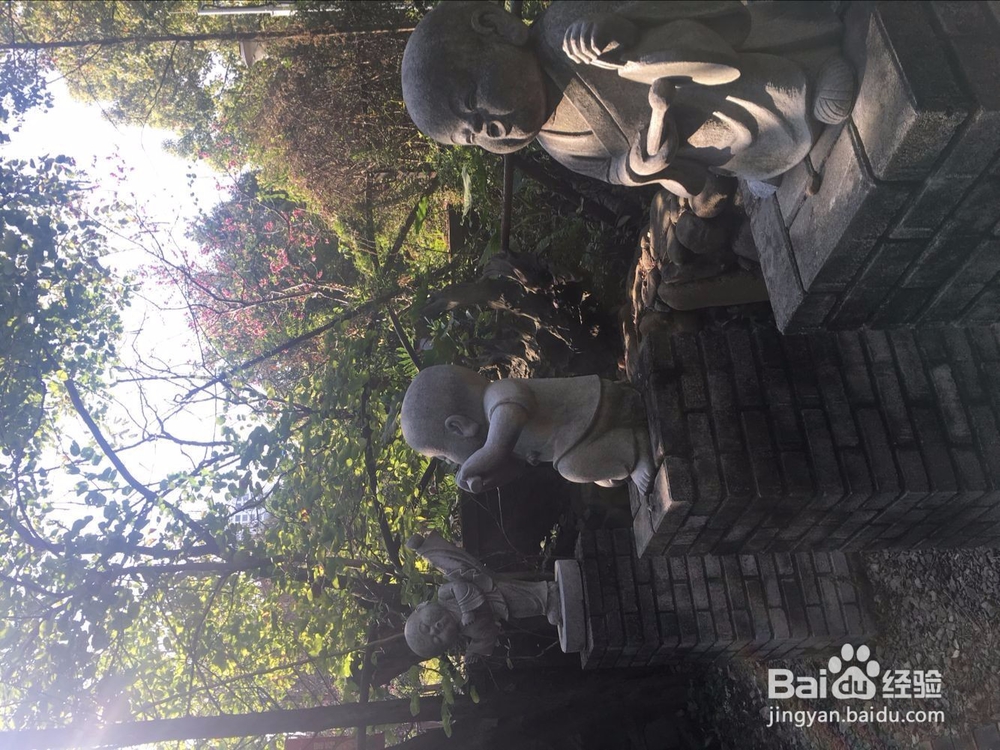 福州温泉公园花灯游