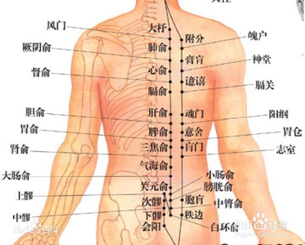 俞读音怎样读