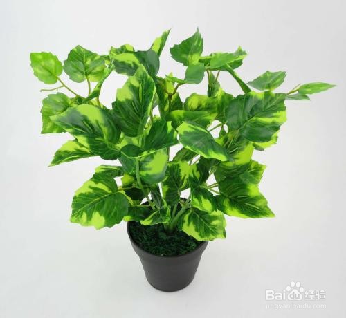 实物资产清查方法