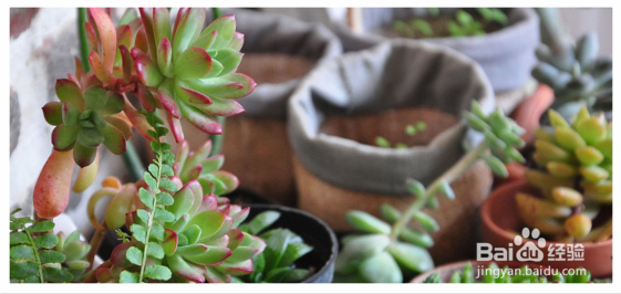 丹霞山两日游/自驾游攻略