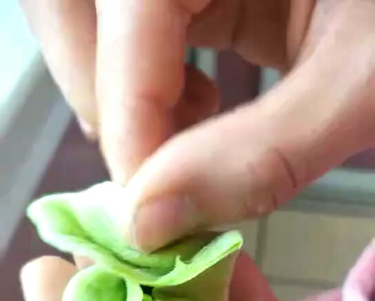 教你如何做出好吃又好看的白菜饺子