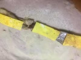 济公发明的一种面食--饺饼筒