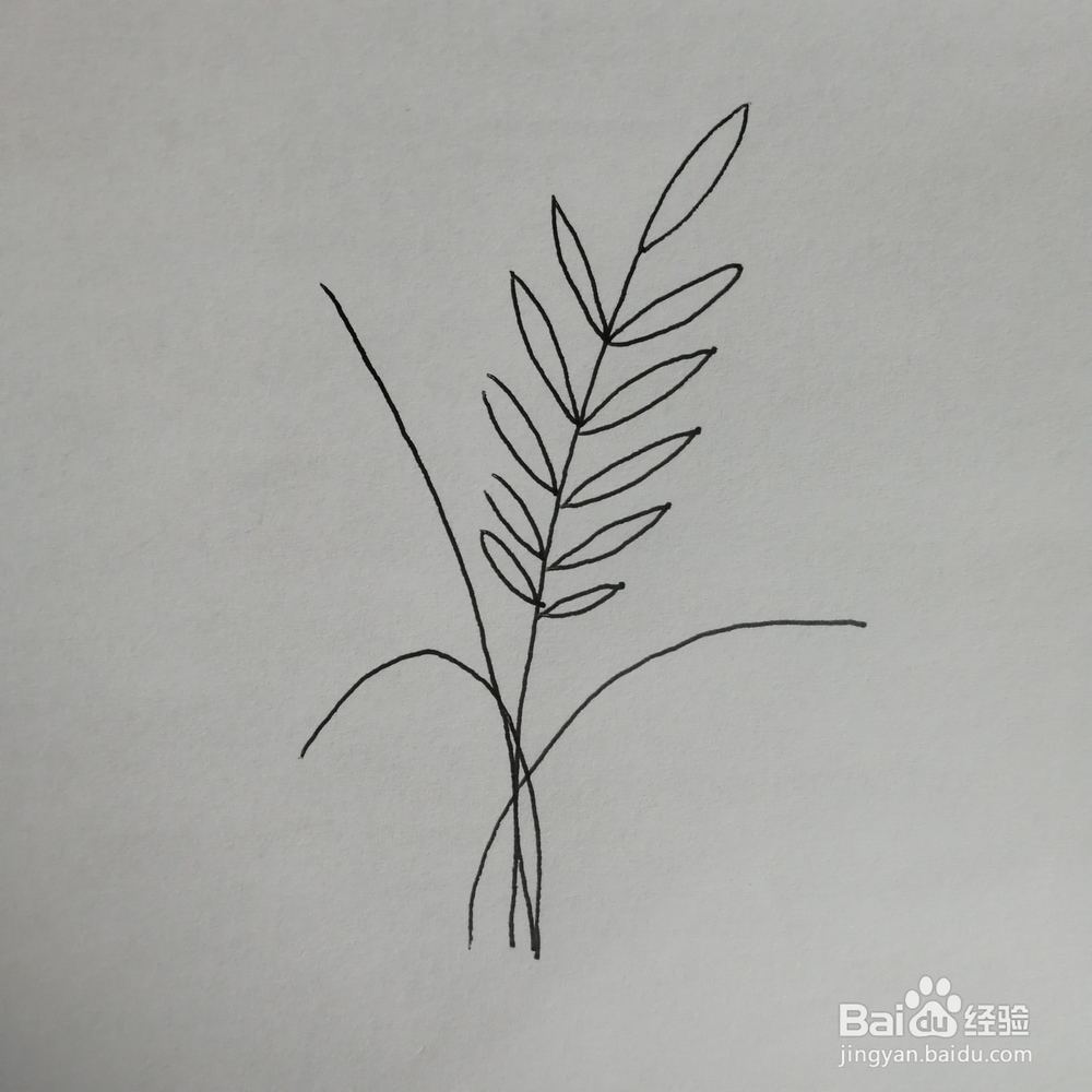 绿色盆栽简笔画怎么画