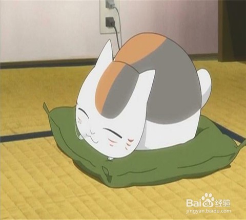 猫拉屎太臭怎么办