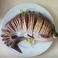 孔雀开屏武昌鱼