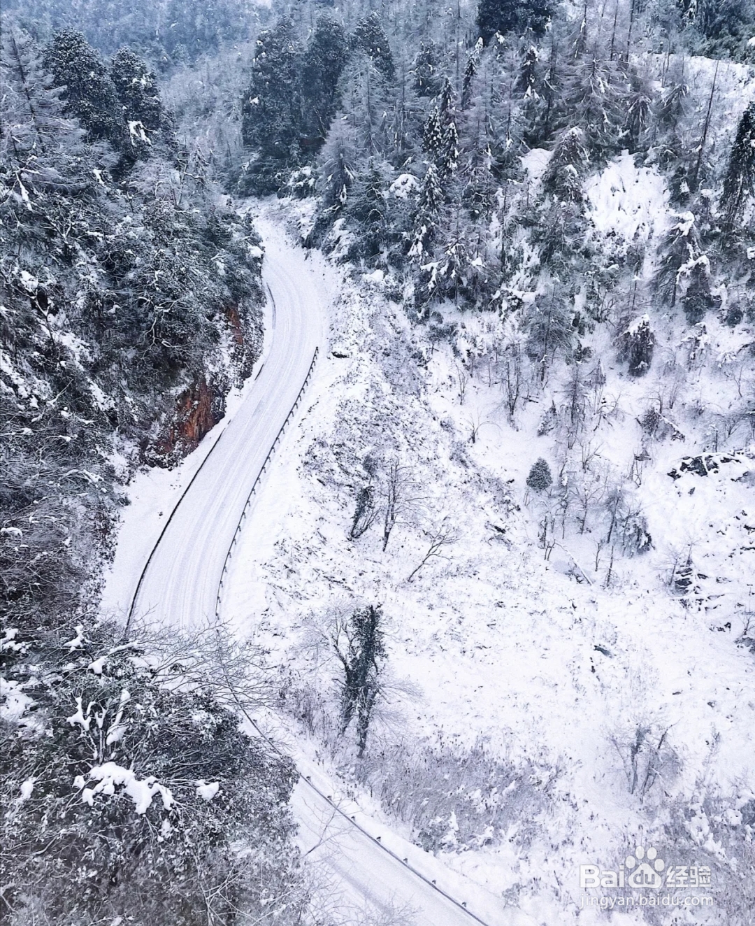 华体会- 华体会体育官方网站- 华体会体育APP下载滑雪大冒险2怎么换开局坐骑 开场坐骑更换方法