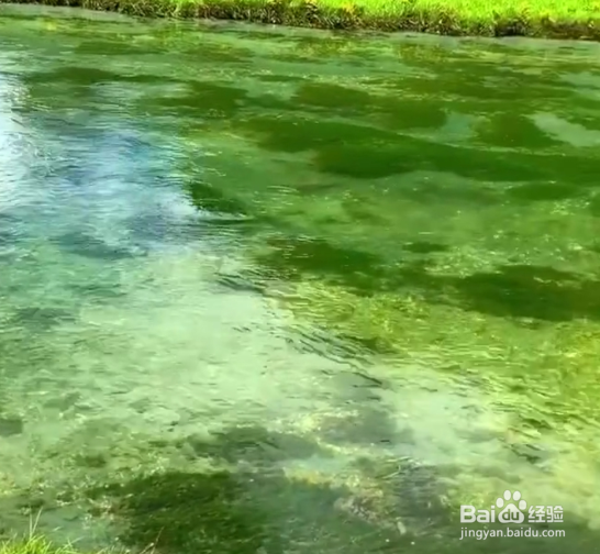 保护环境15条做法