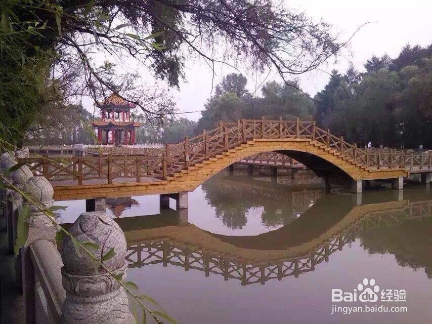 去绥化必游的热度旅游景点都是哪里