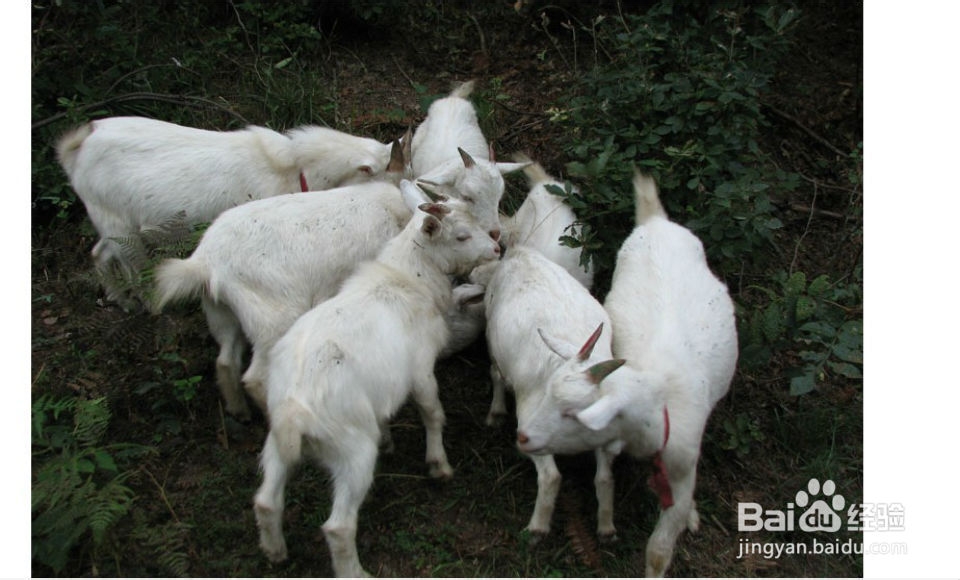 老是失眠，怎么办？