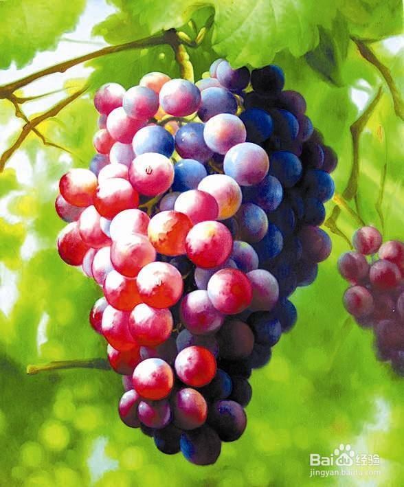 自由基对人体有什么危害，消除自由基的食物