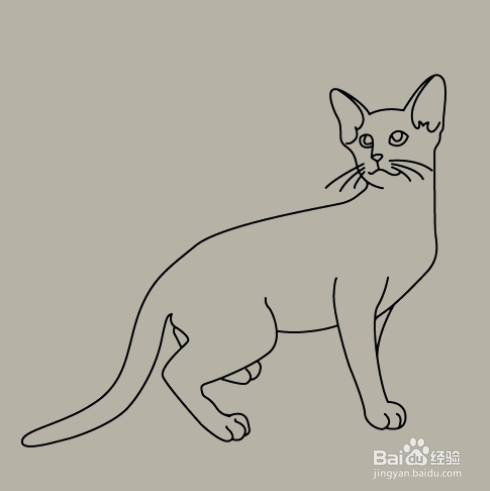 如何手工画小猫咪的简笔画？