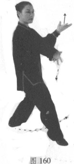 陈式太极白鹤亮翅图解