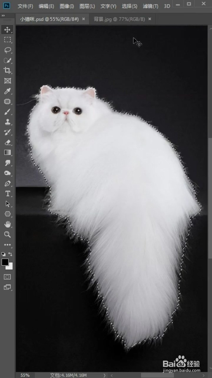 PS中如何抠猫咪的毛发?